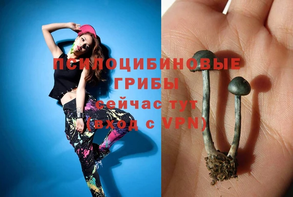 прущая мука Армянск